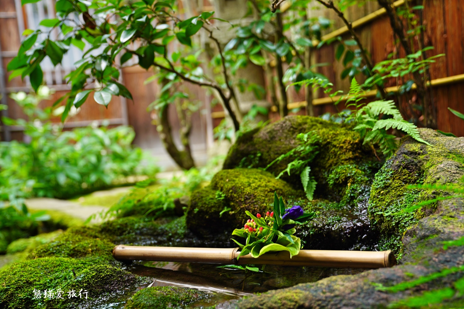 日本金箔冰淇淋金泽,日本金泽金箔雪糕
