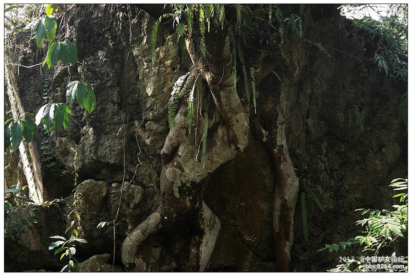 黄果树景区天星桥有没有必要去,贵州黄果树天星桥景区人山人海