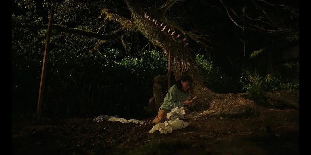 有关《南巫》的多重意境的解构，都在这里了