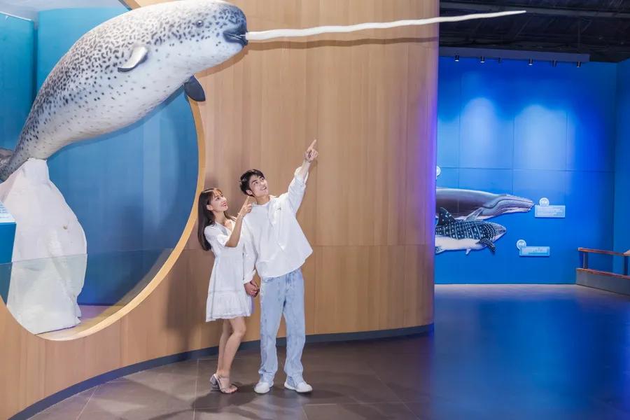 闈掑矝鏃呮父缃戠孩缇庨鎵撳崱鎺ㄨ崘,娴锋磱鍔ㄧ墿娴峰簳涓栫晫鎵撳崱