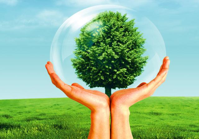 怒放的生命歌曲视频,怒放的生命音乐曲