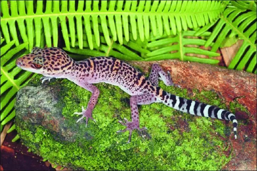 它是蓝颜祸水还是蓝颜薄命,都与你我有关