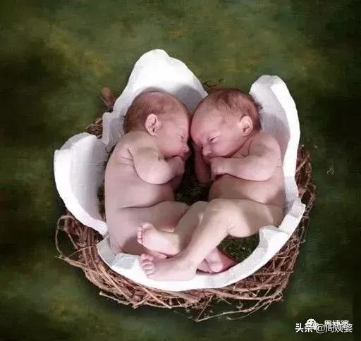 新生命如何诞生,新生命从哪开始的