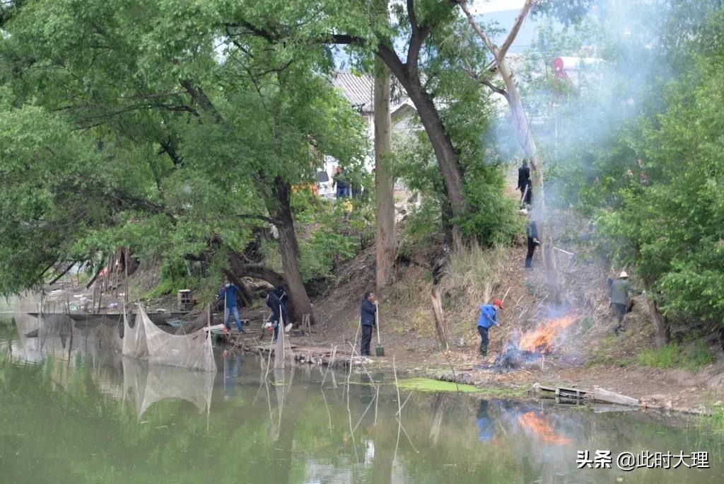 清河行动确保绿水长流,清河行动取得成效