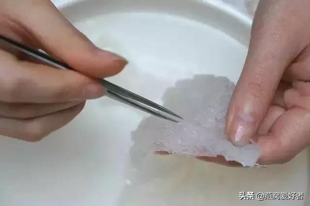 干挑燕窝最好的方法,燕窝怎么挑毛快又干净