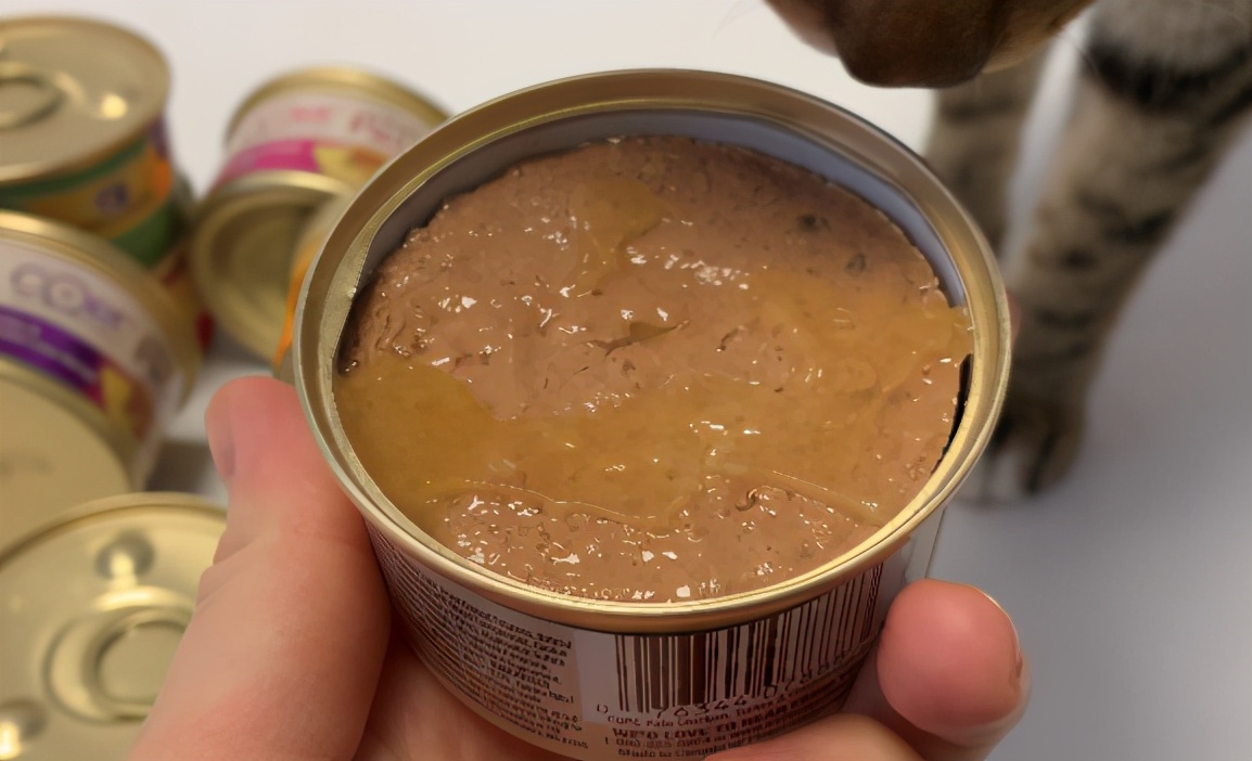 怎么区别猫咪主食罐头和零食罐头,全价猫罐头和主食猫罐头的区别