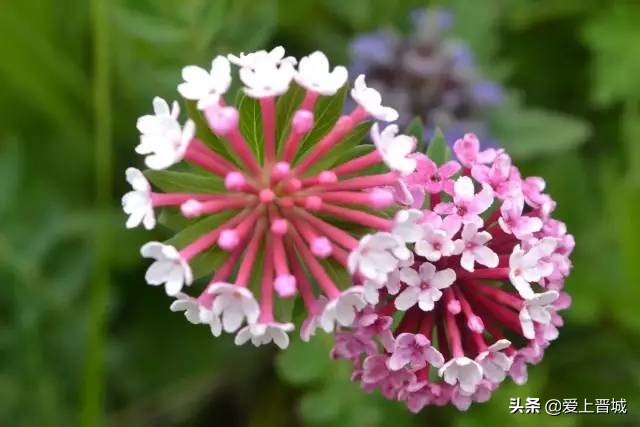 晋城有个啥山,晋城有什么山有名