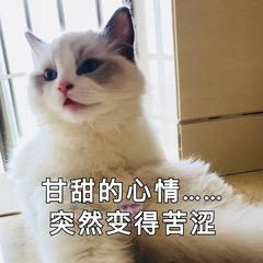 怎么样才能去投行工作,投行中的工作