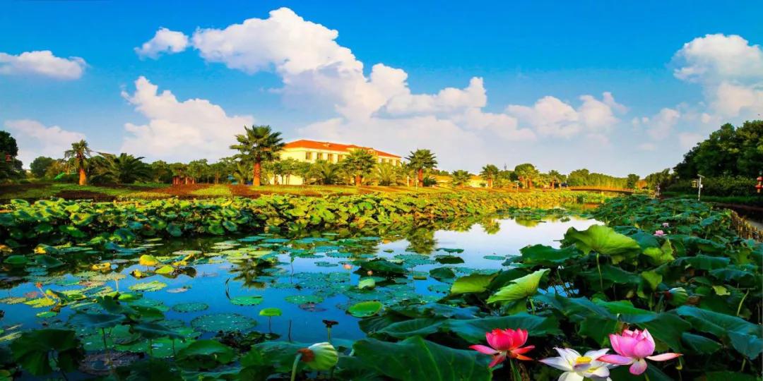 南昌真的要火了吗,南昌即将发展的地方