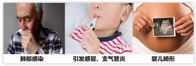 霉菌比*霜砒**毒还毒68倍？你家屋子里这些发霉的地方都清理了吗？