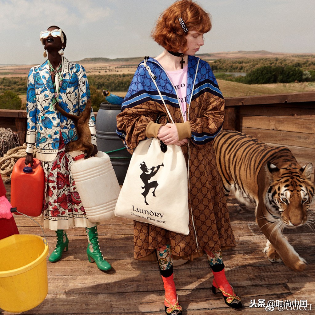 倪妮同款小猫咪,倪妮李宇春奇妙的动物