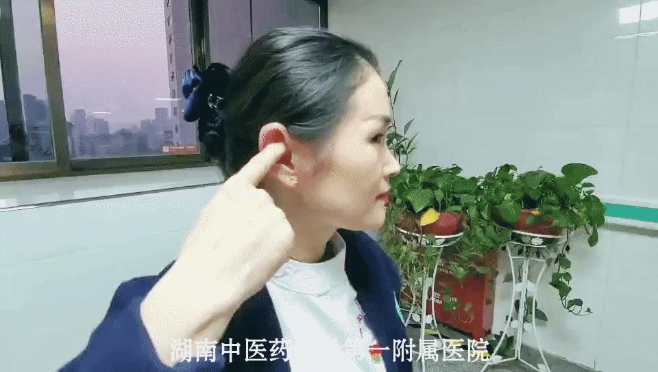 耳穴按摩养生法,气血疏通耳穴标准图片