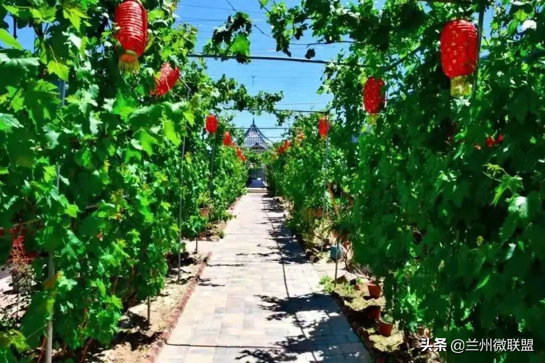 五一假日攻略西固,五一假日攻略兰州西固周边