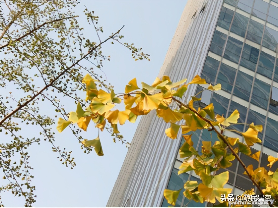 索尼小屏旗舰xperia5V,xperia5iii与xperia5ii对比