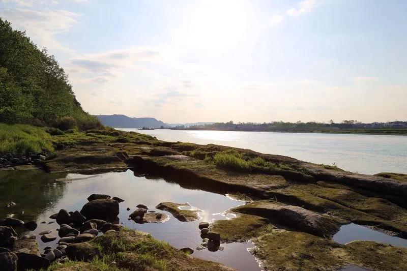 这里是遂宁,射洪介绍