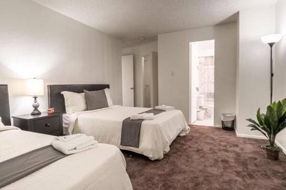 加州大学ucla网课,加州大学洛杉矶分校ucla