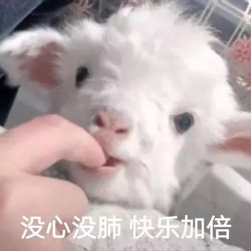 100块高跟鞋和125块高跟鞋,100块和1000块的鞋子区别