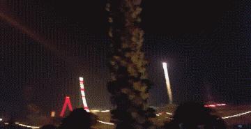 搞笑动图gif兔子,搞笑动图gif猫咪