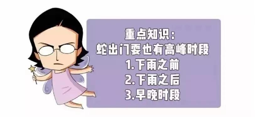 深圳毒蛇分布 (毒蛇高发地区)