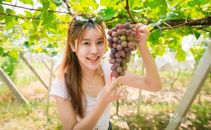 在江苏句容不光可以玩茅山,乡村旅游也做得很不错,游客都很赞
