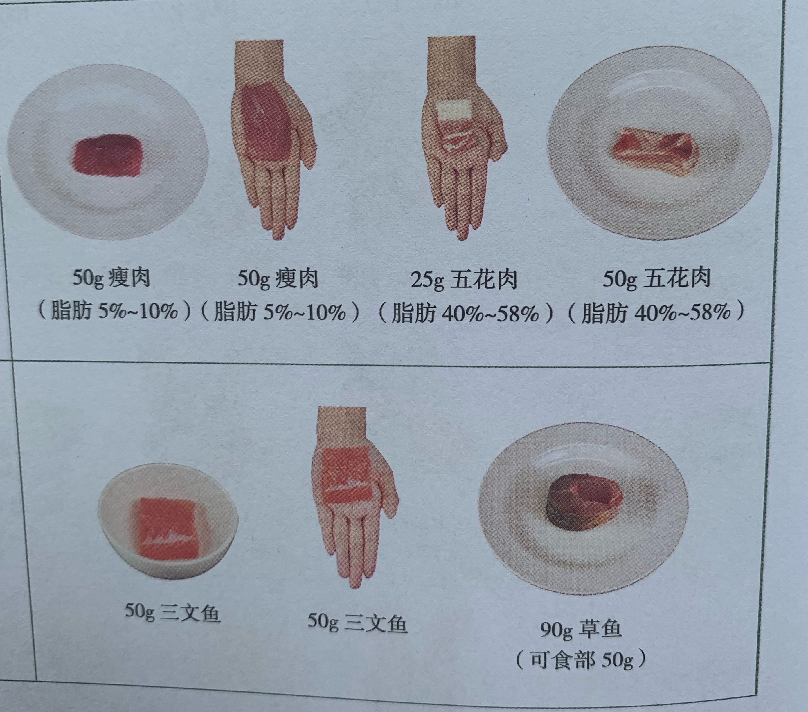 吃一斤蔬菜的量,每天1斤蔬菜吃得下吗