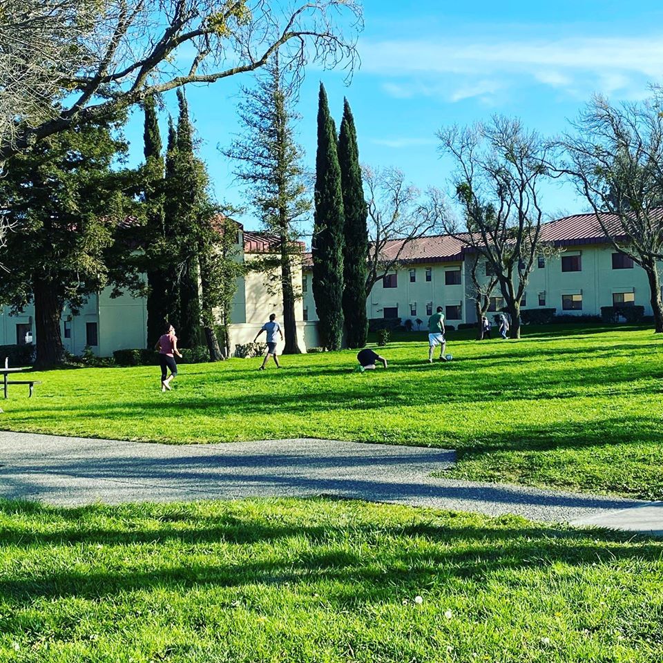 钻石邮轮公主号最新消息,钻石公主号邮轮管辖问题