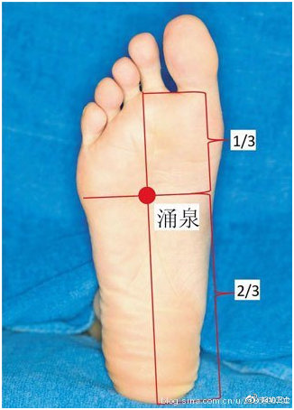 保巢口诀——天下女性的福音