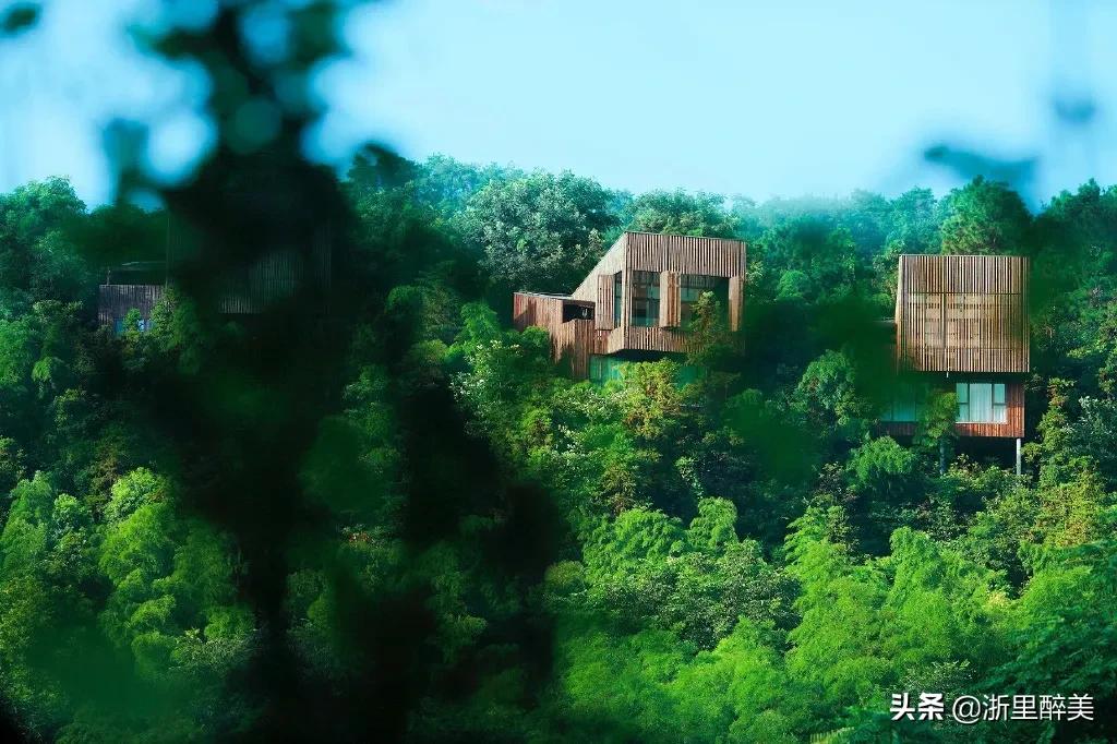 溧阳南山竹海温泉民宿,溧阳温泉民宿推荐