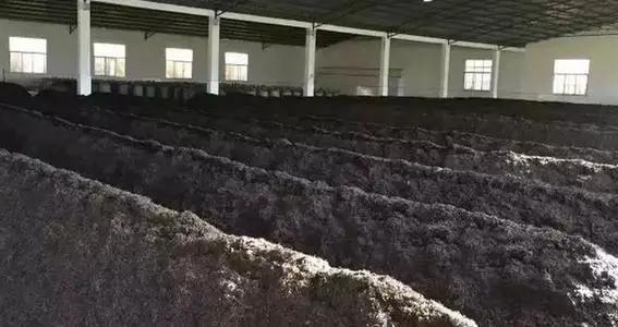 茶知识普及讲解普洱茶,普洱茶的等级之分科普