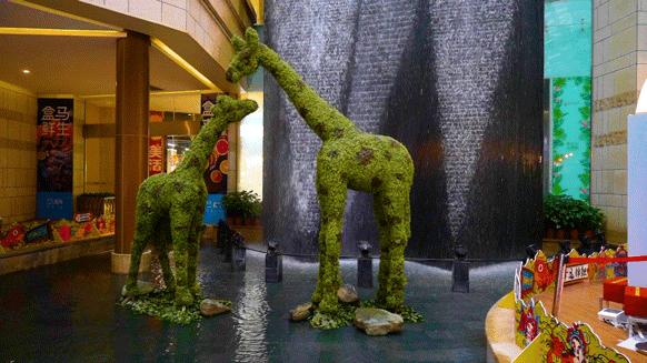 大牌餐饮5折,大牌美食5折购