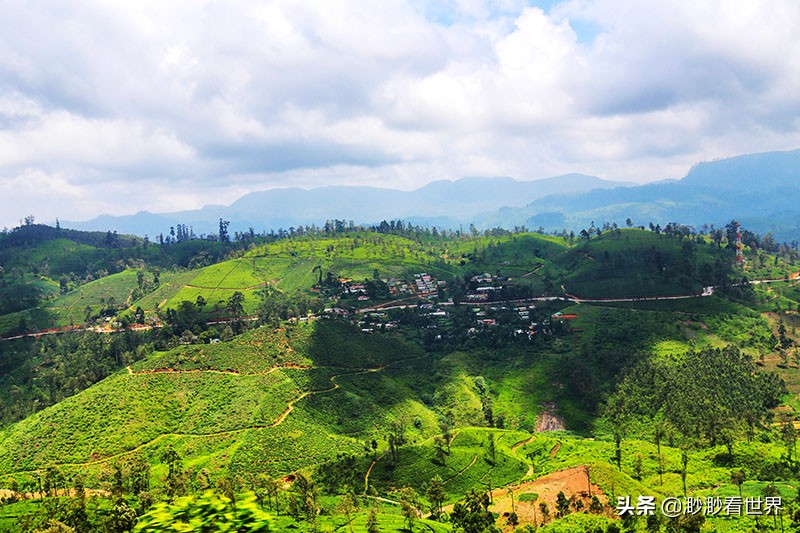 去斯里兰卡旅游攻略,1月去斯里兰卡旅游的最佳攻略