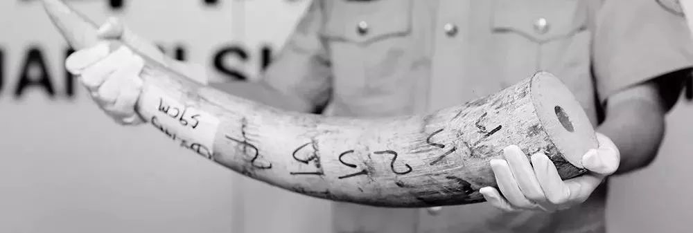 出国旅游禁忌捡东西,出国旅游哪些食品不能带