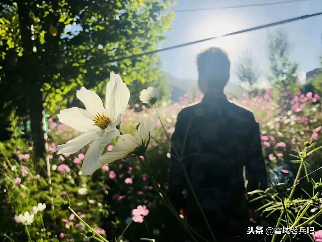 最后一个军礼原唱,最后一个军礼歌曲