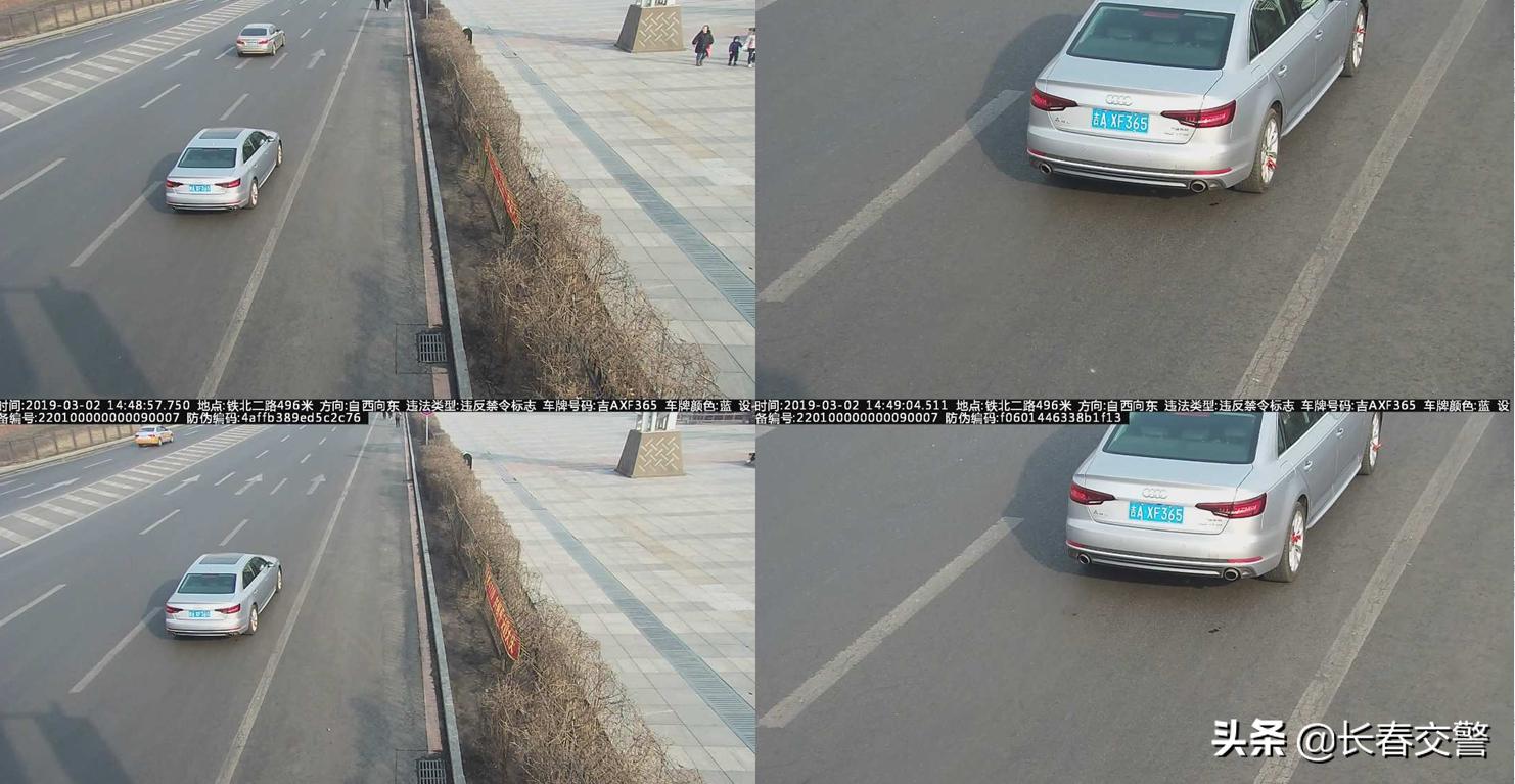 违法曝光台,违法曝光台第96期