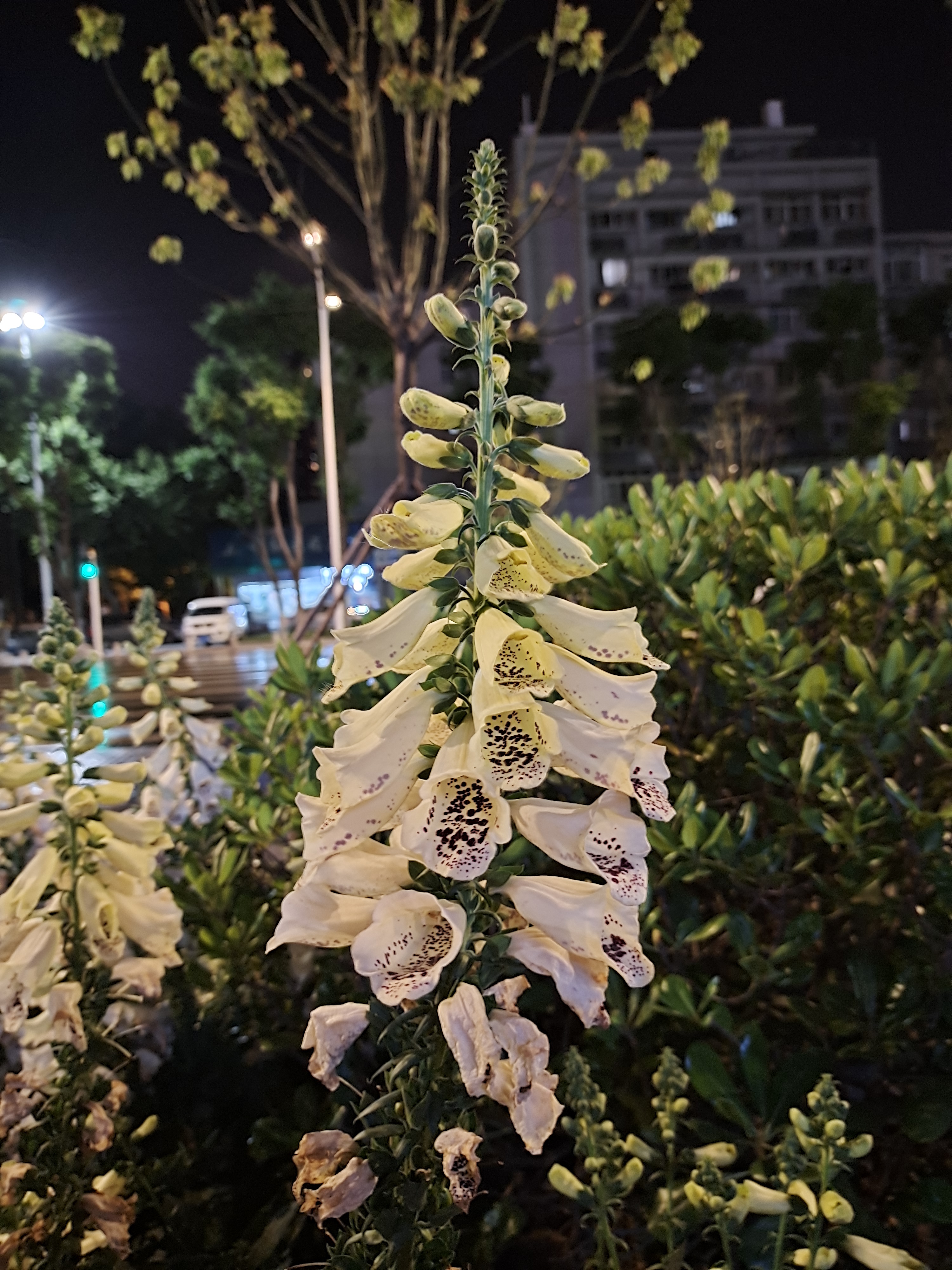 适合中年人用的5g智能手机,vivos6深度使用6大维度测评