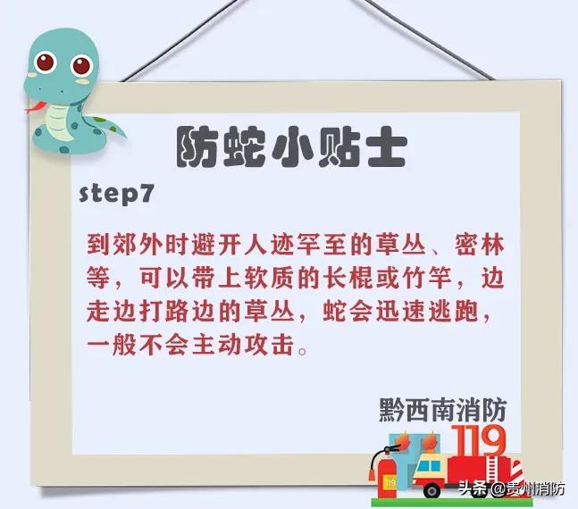 2米长蛇闯入房间,3米长蛇闯进浴室