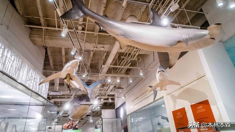 加拿大多伦多生活日记,加拿大多伦多留学生活纪实