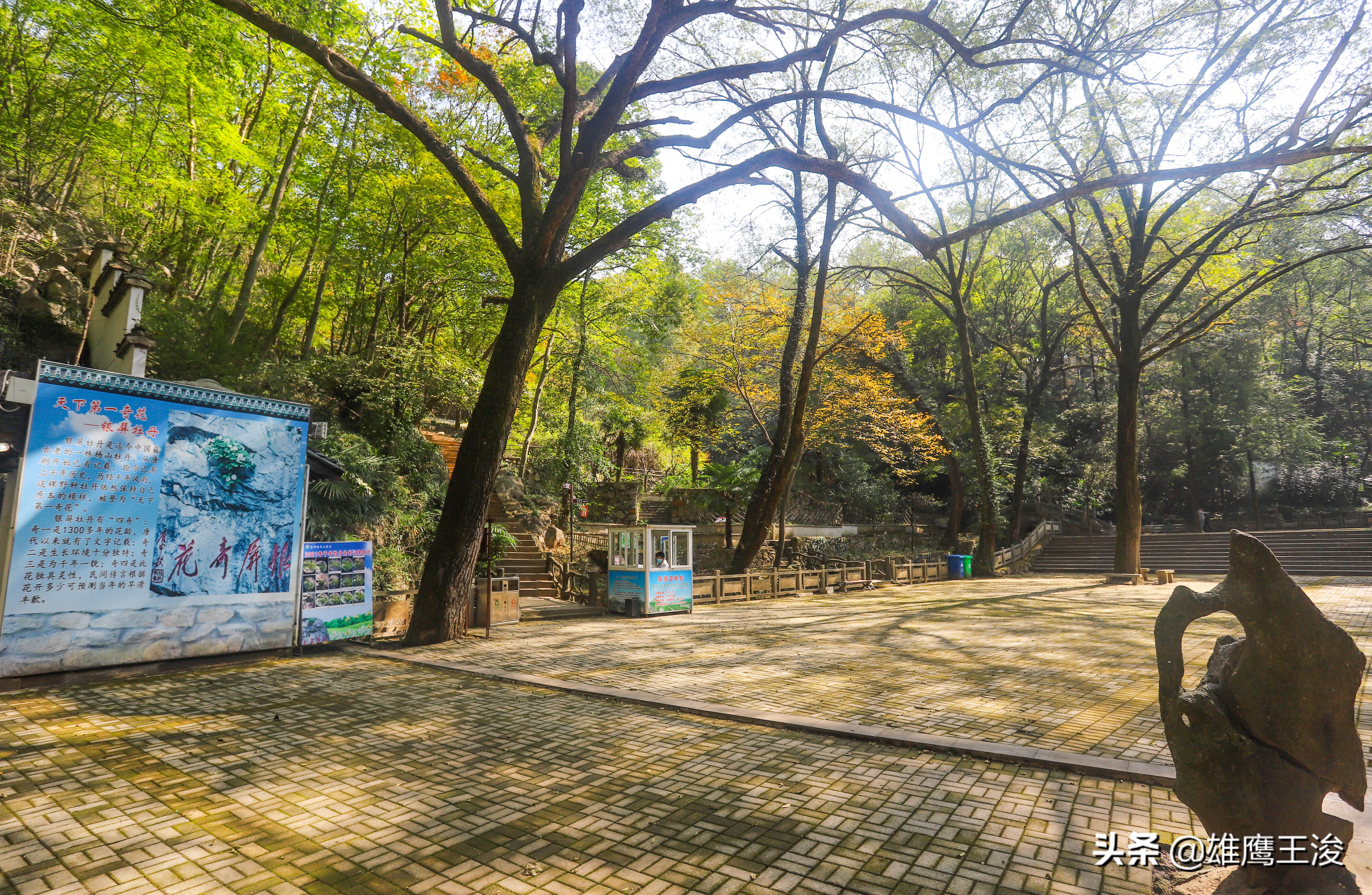 合肥11月份旅游景点大全最新,合肥十月最值得去旅游的四个地方