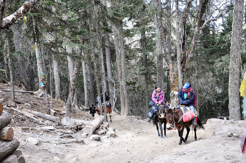 雪山脚下的雨崩村徒步,雨崩村徒步之旅
