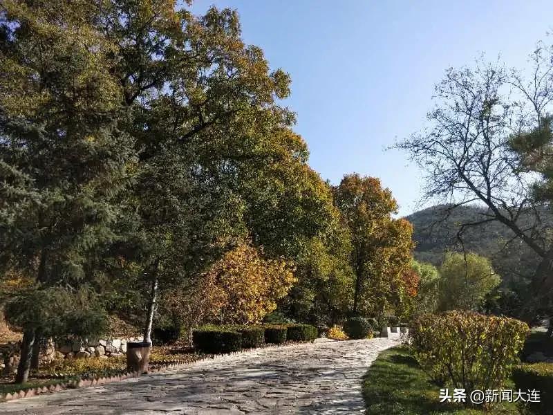 大连赏秋免费的地方,大连赏秋打卡地