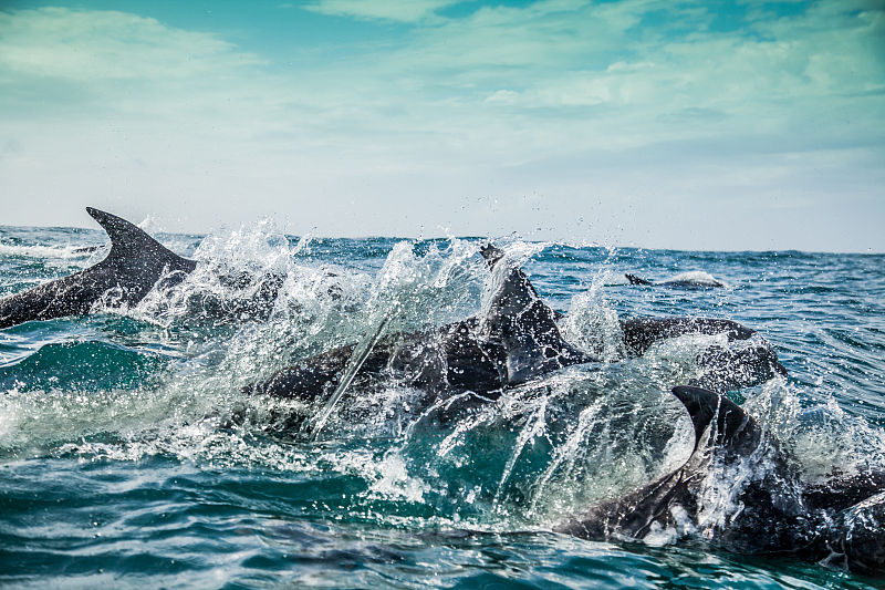 泰国丽贝岛攻略,泰国五天游怎么玩