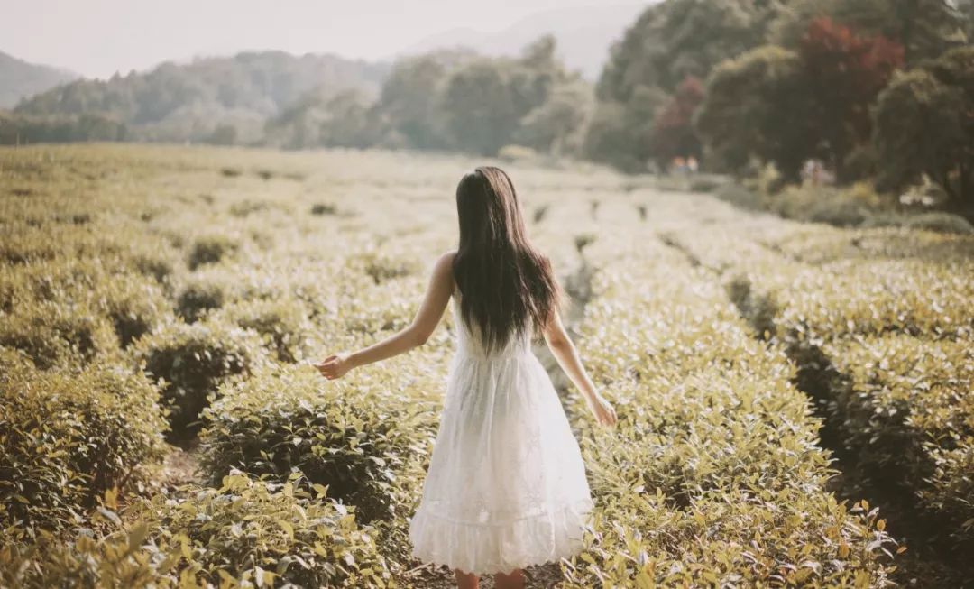 淡泊名利简单理解,所谓的淡泊名利