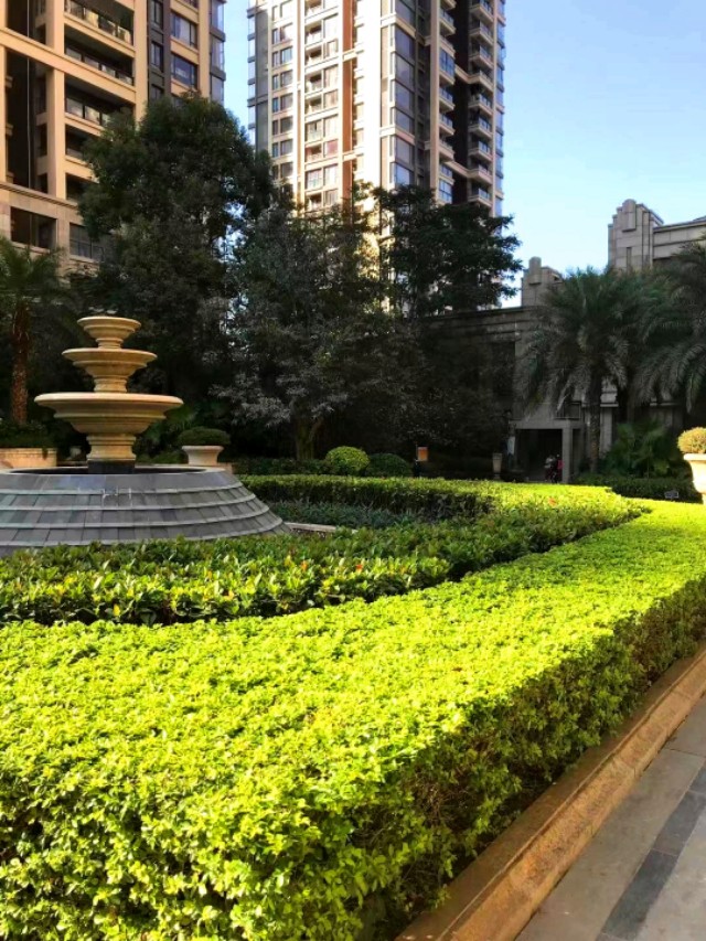 传说中的金沙,金沙世纪城最好小区