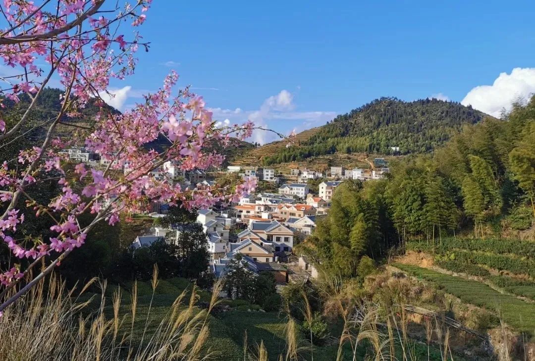 你好，我叫厦门，这是我的简历