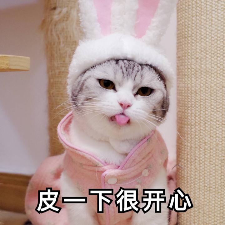 牛犇老师真的是宝藏大爷了!从影70年,人狠话不多,满满正能量!