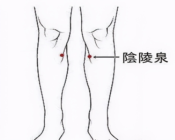阳气不足的人一天到晚犯困,嗜睡阳气虚需要调理多久
