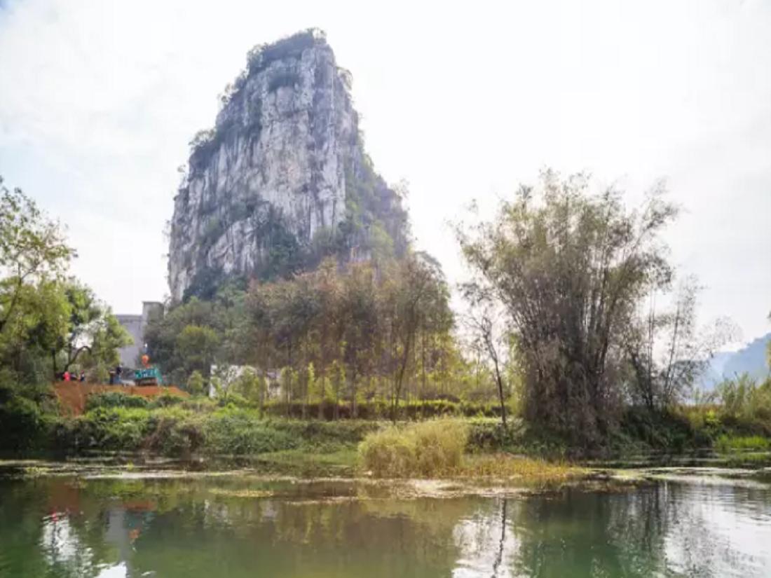 广西上林景区三里洋渡门票票价,上林三里洋渡稻田何时最好看