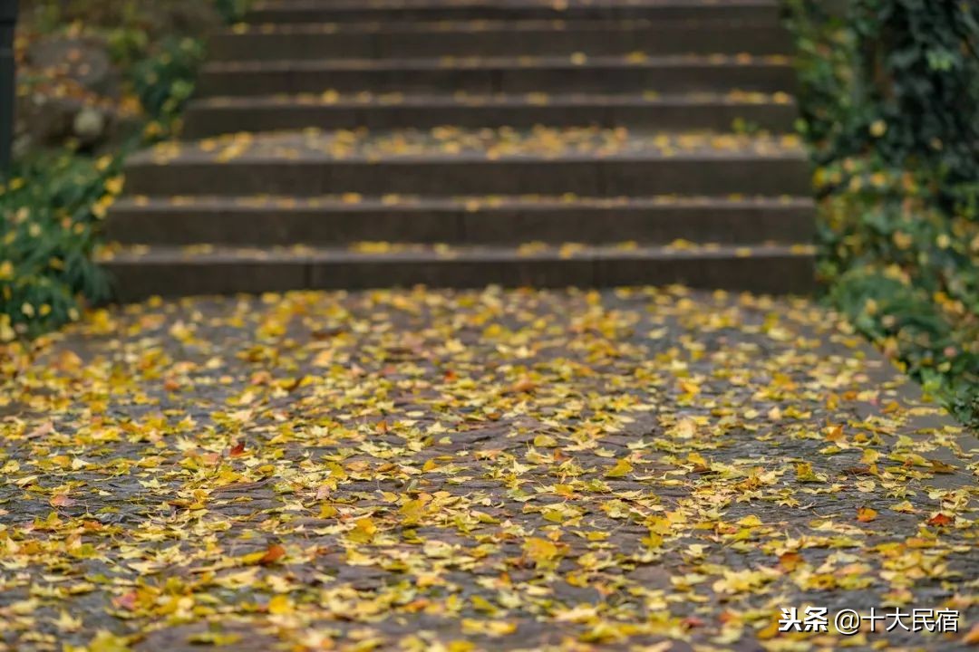 苏州西山旅游攻略三日游路线,苏州西山一日游最佳攻略冬天