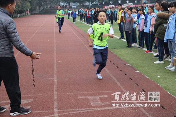 校园体育文化节活动,学校开展体育节系列活动