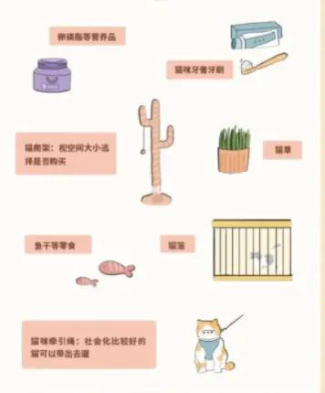 中华田园猫养猫经验,分享养猫经验的直播